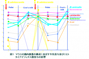 図1